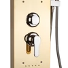 GOLD zuhanypanel, rozsdamentes acél